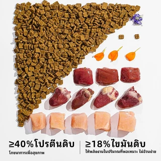 อาหารแมว LEMO 2kg สูตรปราศจากธัญพืช โปรตีนสูง เนื้อสัตว์ 92% สูตรไก่ เหมาะลูกแมวและแมวโต เสริมกล้ามเนื้อ ปรับสมดุลลำไส้6kg