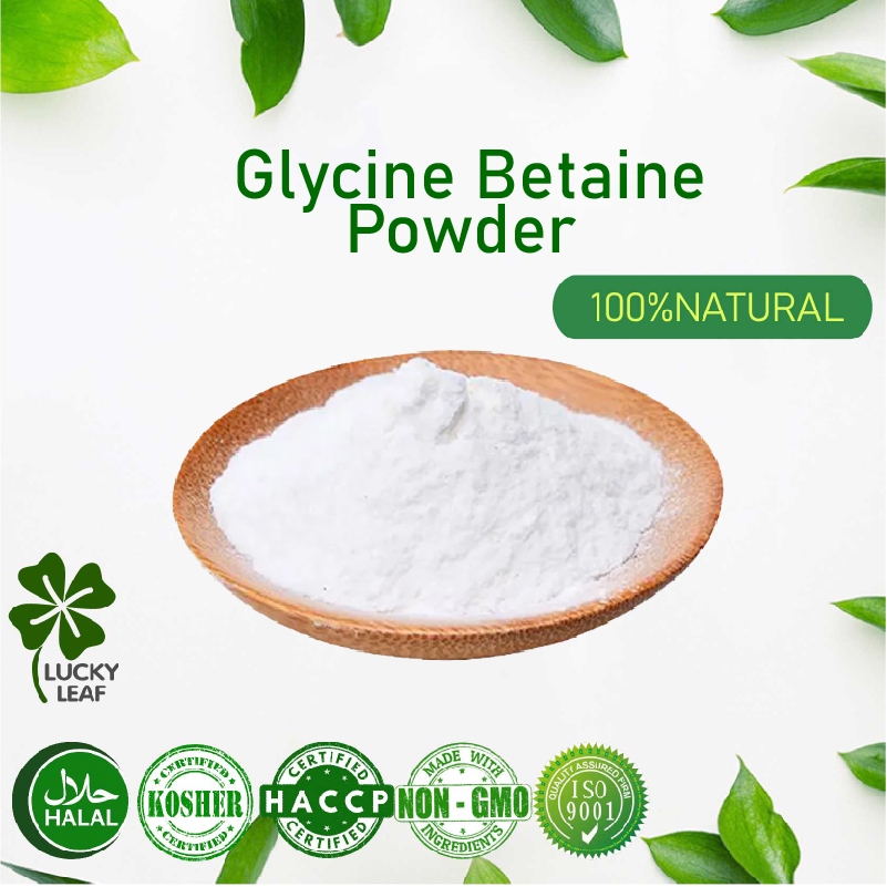 Glycine Betaine Powder/Food Grade-Kosher&HALAL Certified