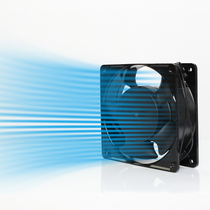 รูปภาพ 8