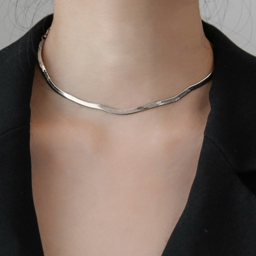Euro-american สไตล์ minimalist สร้อยคอกระดูกงูผู้หญิงเหล็กกระดูกไหปลาร้าโซ่เครื่องประดับแฟชั่น