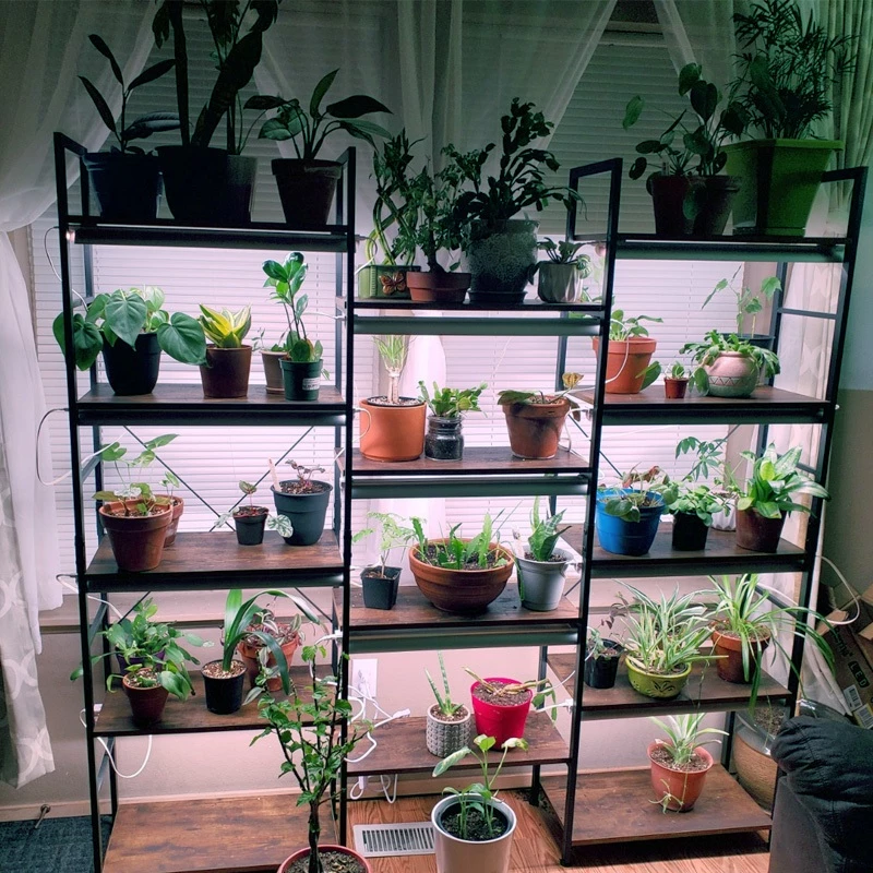 FurtherLux ไฟ LED Grow Light ปลูกต้นไม้ ทำใบ ทำดอก thumbnail 8