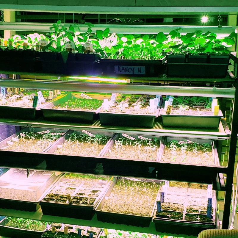 FurtherLux ไฟ LED Grow Light ปลูกต้นไม้ ทำใบ ทำดอก thumbnail 9