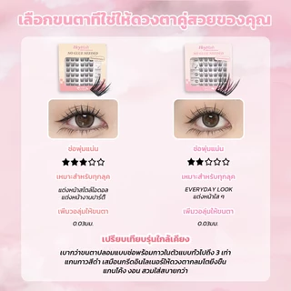 【ส่งด่วนจาก กทม.】HeyeLash รุ่นอัพเกรดใหม่ เบาและบางพิเศษ ขนตามีกาวใน กาวสีดำ ติดได้เลยไม่ง้อกาว