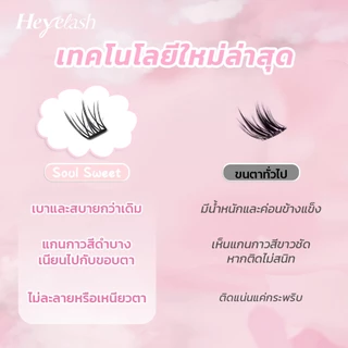 【ส่งด่วนจาก กทม.】HeyeLash รุ่นอัพเกรดใหม่ เบาและบางพิเศษ ขนตามีกาวใน กาวสีดำ ติดได้เลยไม่ง้อกาว