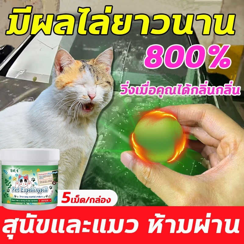 🐱สูตรล่าสุดไล่แมว ไล่แมว ไล่แมวเข้าบ้าน ไล่แมวมาขี้ ก้อนไล่แมว สเปรย์ไล่แมว สเปรย์ไล่หมา ป้องกันสุนัข แมว ขับถ่าย ปลอดภั