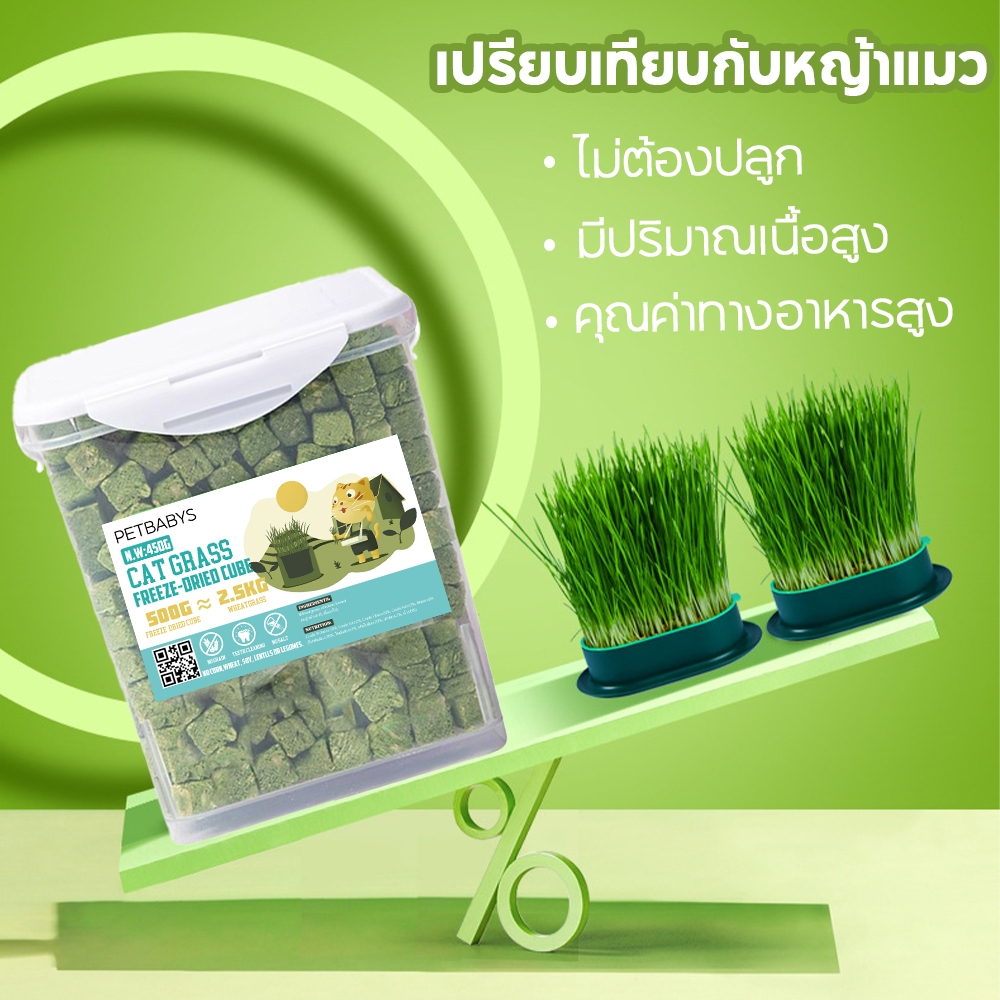 ขนมแมว 100%ฟู้ดเกรด ฟรีซดรายแมว ขนมฟรีซดราย ไก่ฟรีซดราย ขนมโปรตีน ไม่มีสารปรุงแต่งหรือเจือปนทั้งสิ้น - รูปที่ 5