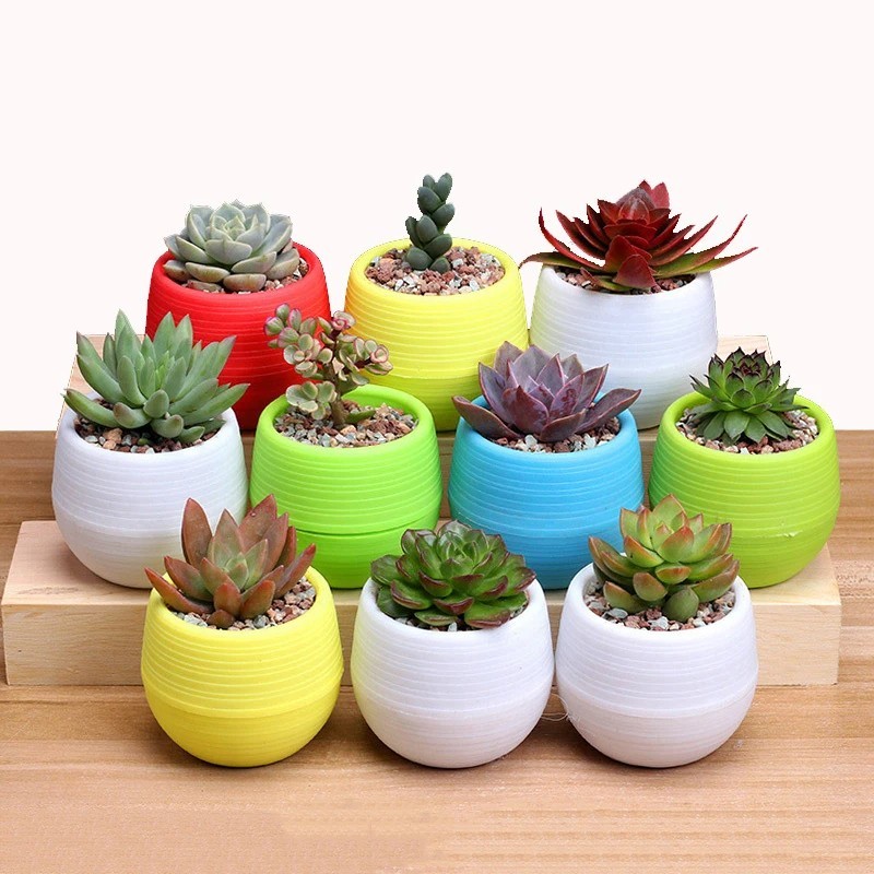 1/3 ชิ้นที่มีสีสันกระถางดอกไม้พลาสติกโฮมออฟฟิศระเบียง Succulent พืชสีเขียวเดสก์ท็อปกระถางดอกไม้สร้างสรรค์กระถางต้นไม้ขนาดเล็ก