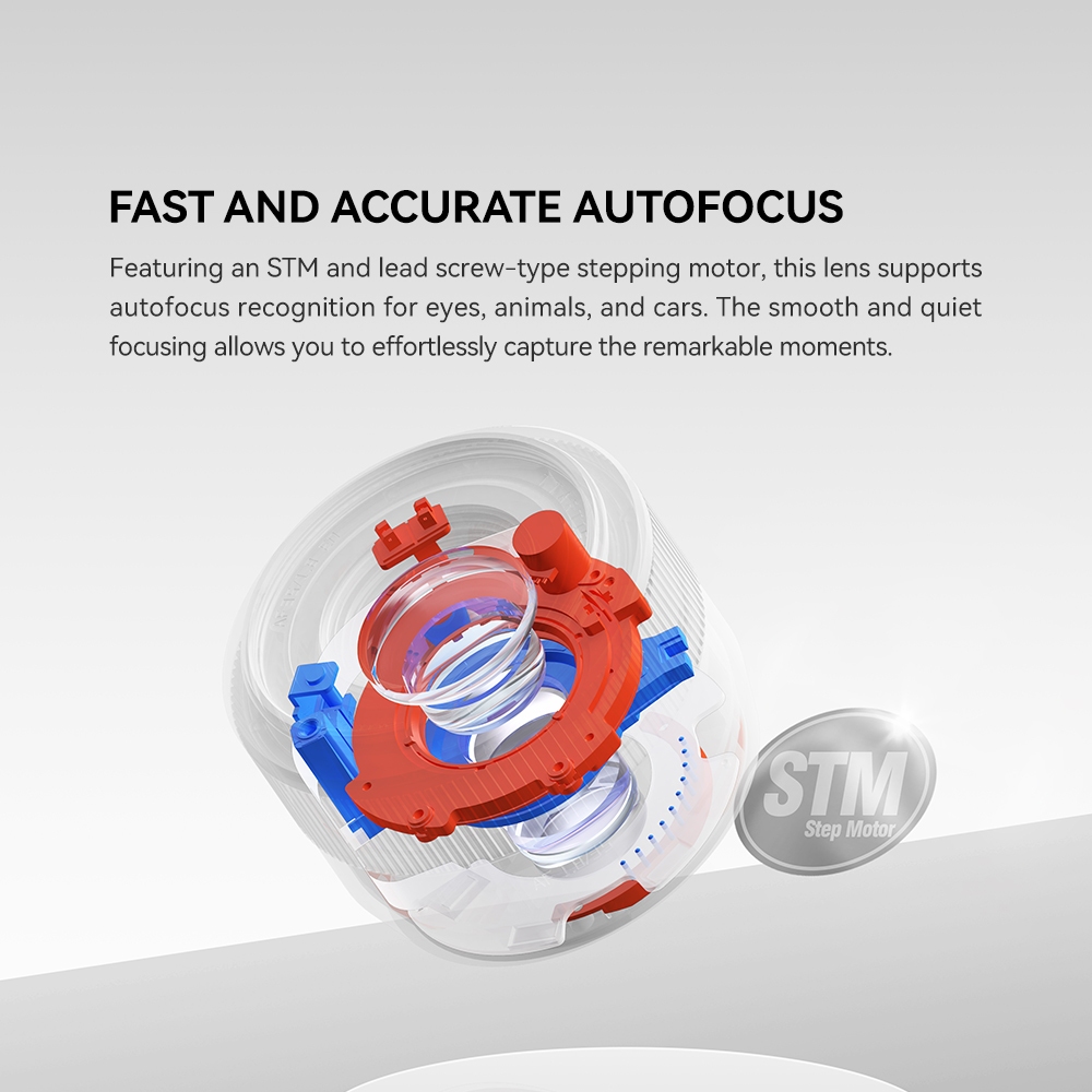 รูปภาพ 8