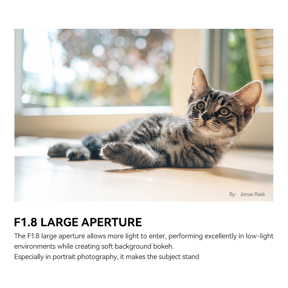 รูปภาพ 6