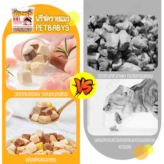 😸MIX 8 ชนิด🔥ฟรีซดรายแมว น้ำหนักสุทธิ 500 ก อกไก่ฟรีซดราย Freeze Dry Chicken ขนมฟรีซด ไก่ราย