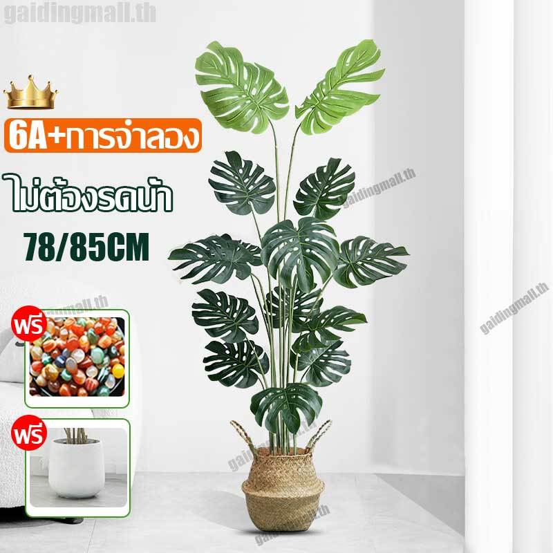 🌴ส่งจากกทม.24ชม🌴 ต้นไม้ปลอม ต้นไม้ปลอมใหญ่ 95/85CM24ใบ/18ใบ ฟรีกระถางดอก +หินตกแต่ง ต้นไม้แต่งบ้าน+การตกแต่งร้านกาแฟ สไตล์นอร์ดิก ในบ้าน ต้นไม้มงคล ต้นไม้ประดิษฐ์ ต้นไม้ตกแต่งบ้าน ต้นไม้ปลอมสวยๆ ต้นไม้แต่งห้อง ต้นไม้มงคลสวยๆ ต้นไม้มงคลปลอม