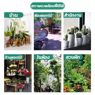 ไม่ทำร้ายพืช ยากำจัดเ ยากำจัดแมลงพืช 500ML ยาฆ่าแมลง ฆ่าเพลี้ย หนอน มด เกษตร สวน เพลี้ยไฟ เพลี้ยกระโดด แมลงหวี่ขาว แป้ง กำจัดได้กว้างขวาง เไฟ สาร เ ฆ่าหนอนเจาะ แลมป์ดา-ไซฮาโลทริน