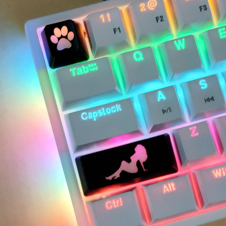 Cat Claw Keycap ESC ENTER Keycaps OEM Keycaps โปร่งแสงคีย์บอร์ด