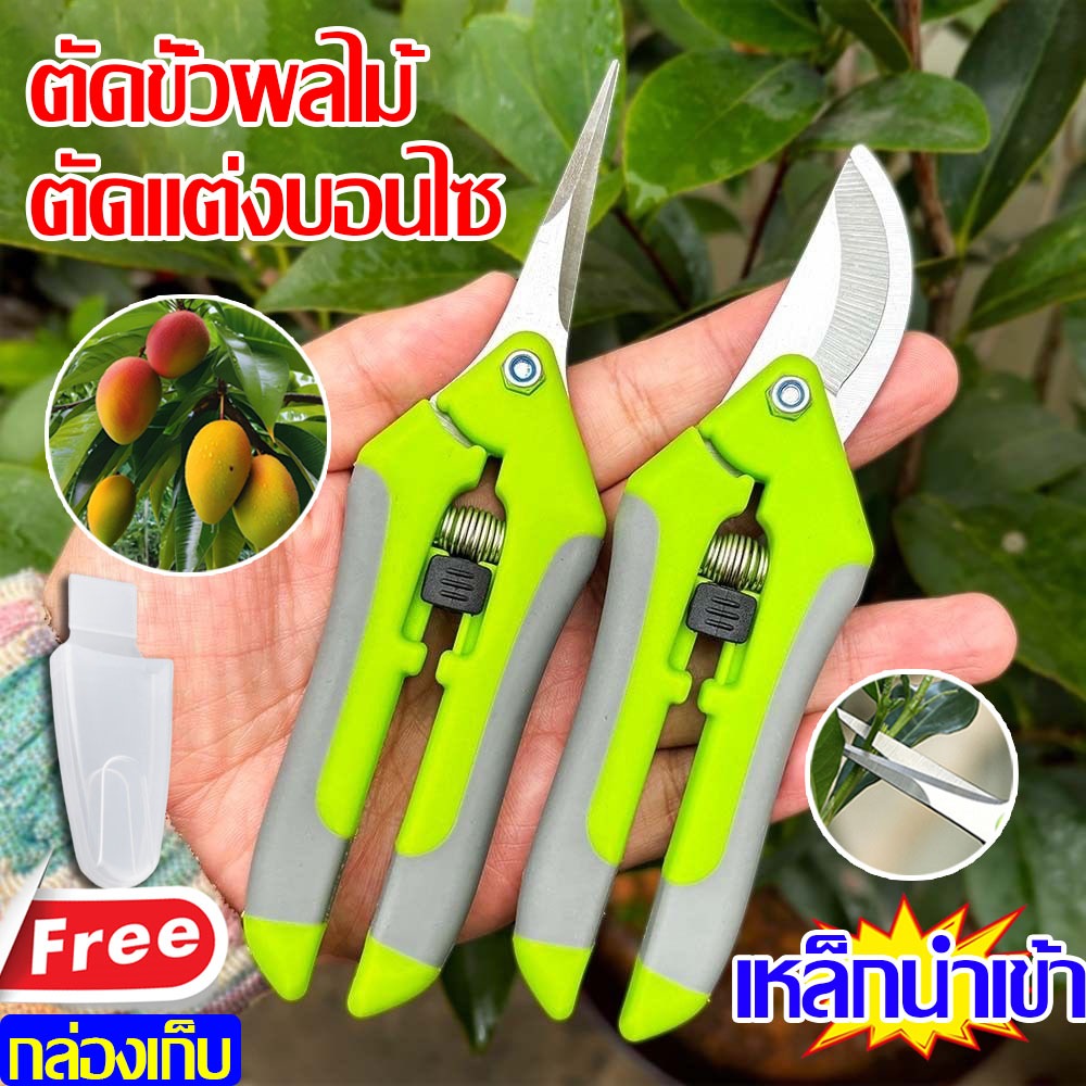 3C R13เหล็กนำเข้า✂️กรรไกรตัดกิ่ง จัดการกรรไกรตัดแต่งกิ่ง เครื่องมือทำสวน กรรไกรตัดแต่งกิ่ง กรรไกรตัดแต่งกิ่งต้นไม้ กรรไกรตัดแต่งกิ่ง กรรไกรพืช