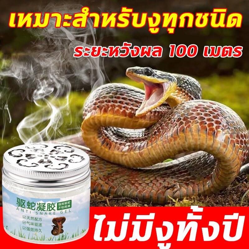 GE เจลไล่งูสูตรเข้มข้น ยาไล่งู 180 วัน ปลอดภัย ไร้สารพิษ ขับไล่งูเห่า งูแหวนเงิน แมงป่อง แมลงมีพิษ snake repellent