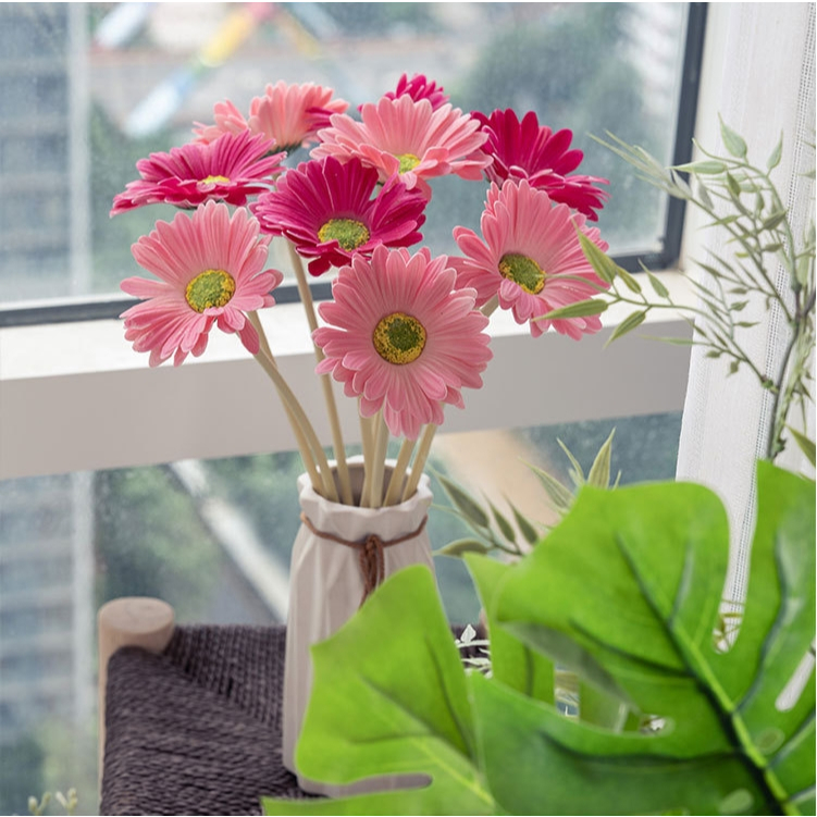 รูปภาพ 6