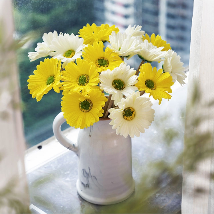 รูปภาพ 8