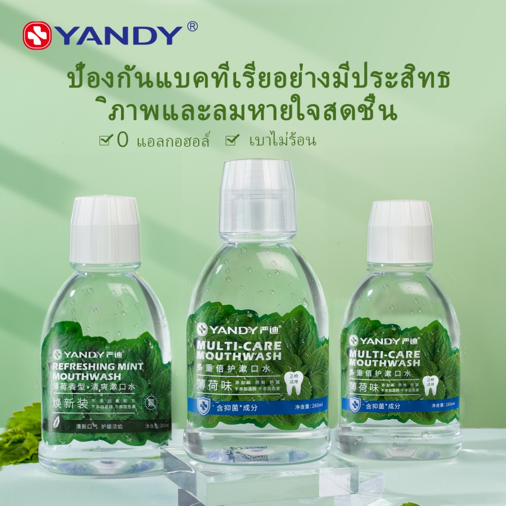 YANDY น้ำยาบ้วนปากสูตรไม่แสบปาก ช่วยลดกลิ่นปาก ปากหอมสดชื่น ไม่ทำให้ฟันผุ 260ml