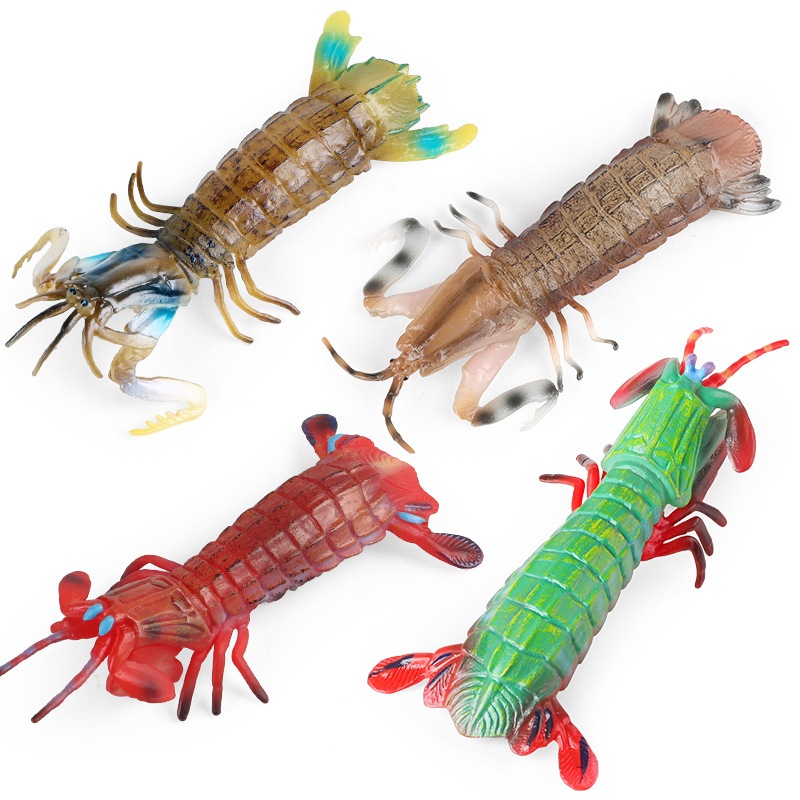 Marine life Mantis กุ้ง luohualx จําลองเด็กวิทยาศาสตร์การศึกษาของเล่นสัตว์ prop ตกแต่ง