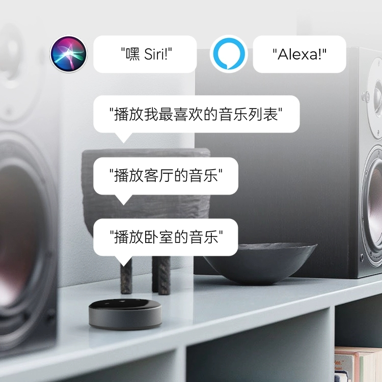 Wiim เครื่องรับสัญญาณเสียงขนาดเล็กรองรับการสตรีมเพลงออนไลน์ Bluetooth 5.0 สตรีมมิ่งไร้สาย Airplay2