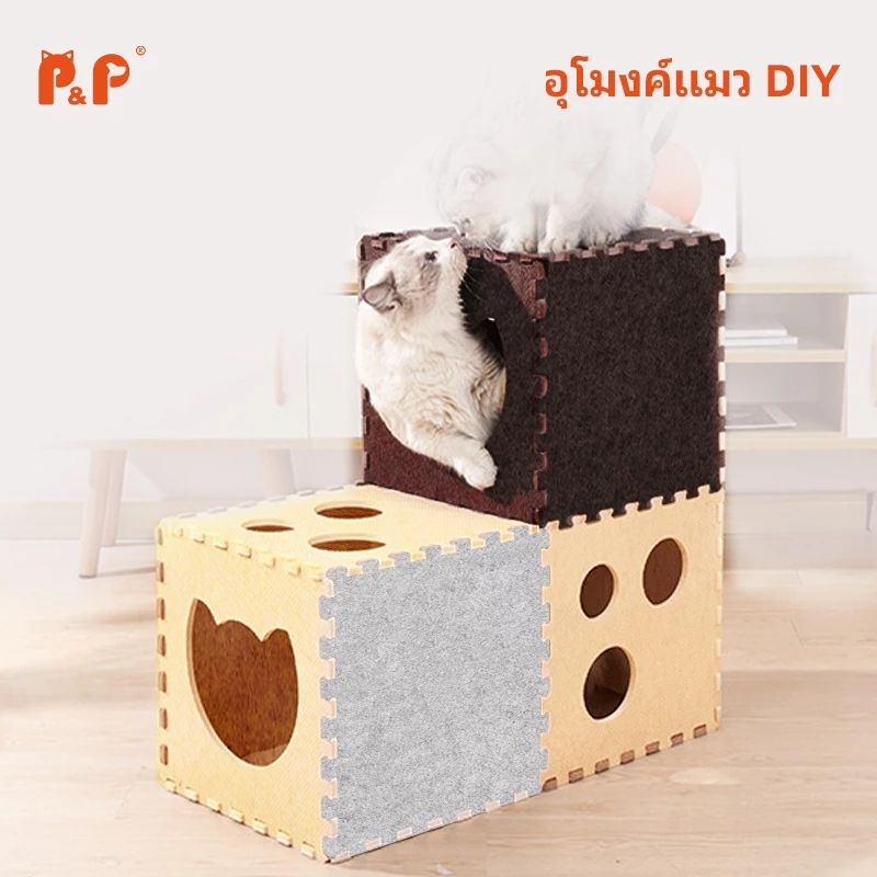 กล่องแมว บ้านแมว ที่นอนสัตว์เลี้ยง ลับเล็บแมว DIY
