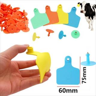 10/20/50 ชิ้นวัวหูแท็กไม่มีคําหมูหูแท็กเหมาะสําหรับหมู, วัว,…