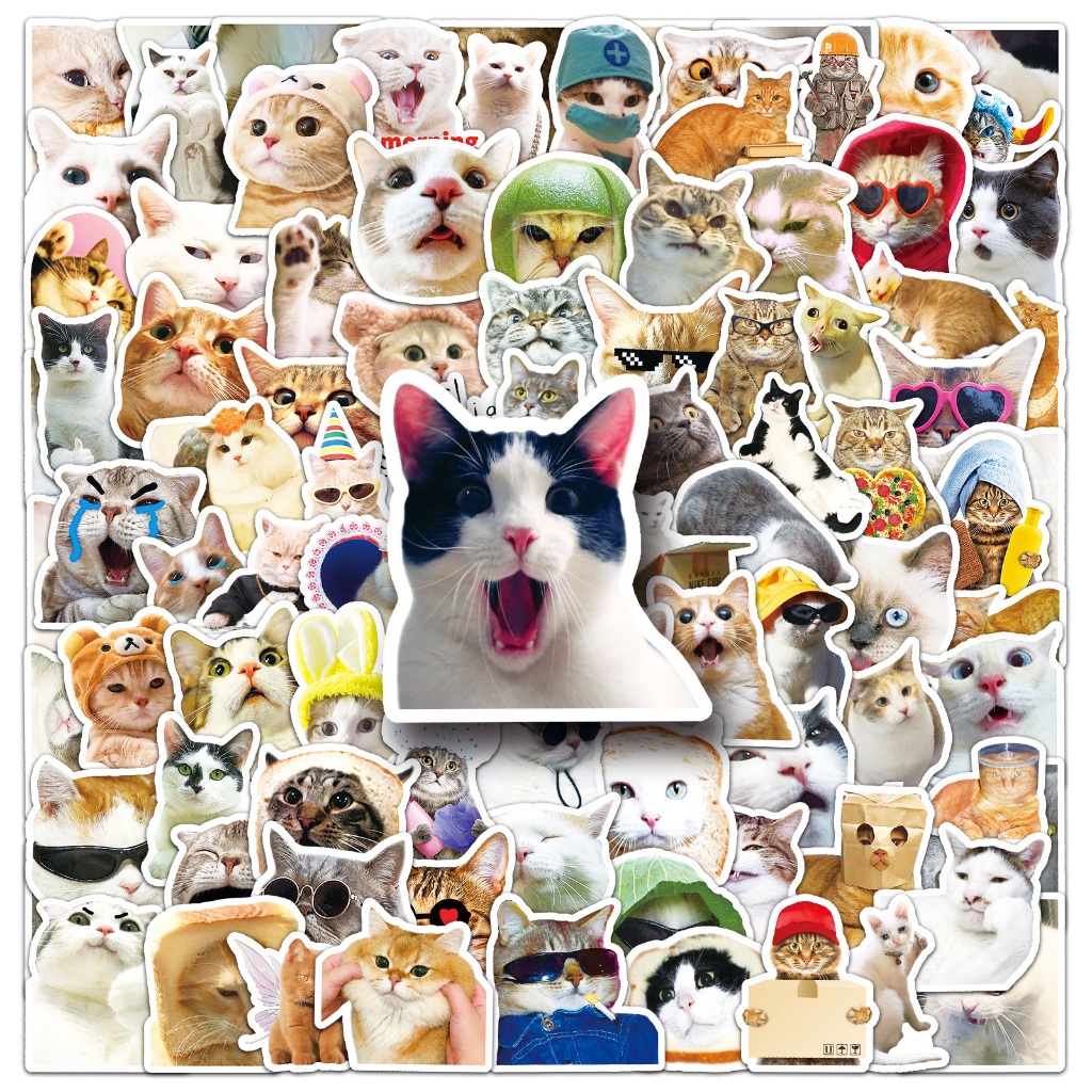 ใหม่ 100pcs meme Cat สติกเกอร์สําหรับ DIY แล็ปท็อป/หมวกกันน็อก/ขวดน้ํา/เครื่องเขียน/ดินสอ Graffiti กันน้ําน่ารักตกแต่งของขวัญ