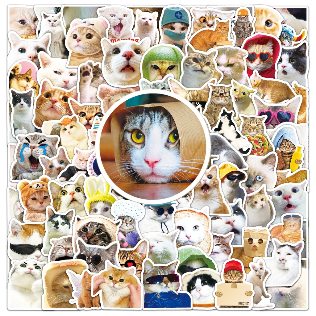100 ชิ้นแมวตลก มีม ทําเอง สร้างสรรค์สติกเกอร์กันน้ําสําหรับโทรศัพท์แล็ปท็อปหมวกกันน็อคสติกเกอร์กราฟฟิตีสเก็ตบอร์ดสติกเกอร์รถ