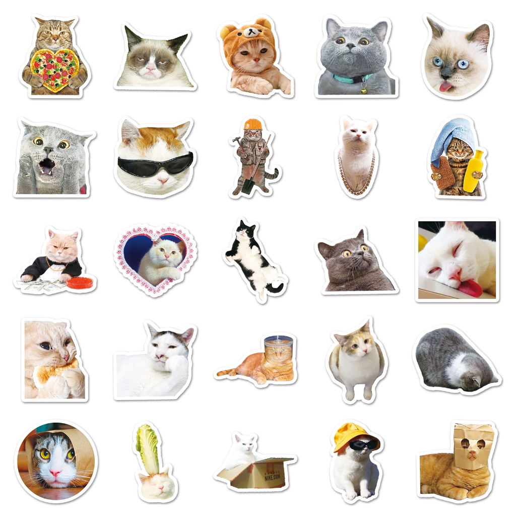 100 ชิ้นแมวตลก มีม ทําเอง สร้างสรรค์สติกเกอร์กันน้ําสําหรับโทรศัพท์แล็ปท็อปหมวกกันน็อคสติกเกอร์กราฟฟิตีสเก็ตบอร์ดสติกเกอร์รถ - รูปที่ 4