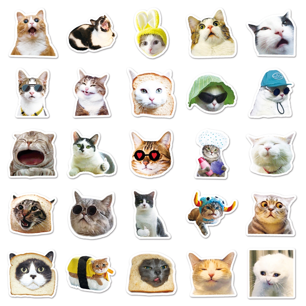 100 ชิ้นแมวตลก มีม ทําเอง สร้างสรรค์สติกเกอร์กันน้ําสําหรับโทรศัพท์แล็ปท็อปหมวกกันน็อคสติกเกอร์กราฟฟิตีสเก็ตบอร์ดสติกเกอร์รถ - รูปที่ 5