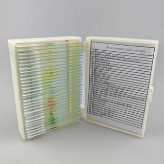 30 ชิ้น Biological เตรียมสไลด์เนื้อเยื่อตัวอย่างชิ้นวิทยาศาส…