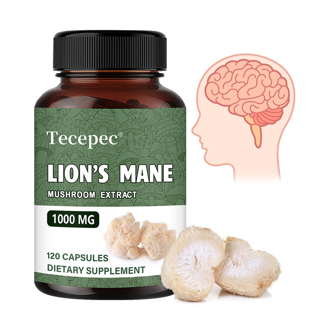 Tecepec Lions Mane Mushroom ความรู้ความเข้าใจแคปซูล วิตามินสมอง อาหารเสริมโฟกัส