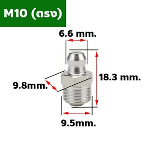 หัวอัดจารบีสแตนเลส ปลอดสนิม แบบตรง 45° 90° เกลียวมิล M6 M8 M10 (304 Stainless Steel Grease Nipple)