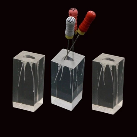 1 ชิ้นทันตกรรมรุ่น Endodontic Root Canal Block ฝึกฟัน Study Endo