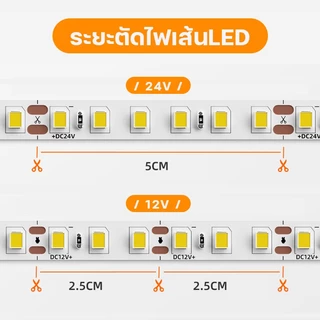 ไฟริบบิ้น 2835 เส้น LED Strip ยาว5เมตร แสงวอร์มไวท์/แสงขาว 12V 120เม็ด/เมตร 12วัตต์/เมตร มีเทปกาวในตัว ไฟปีใหม่ ไฟเส้น ไฟติดห้อง