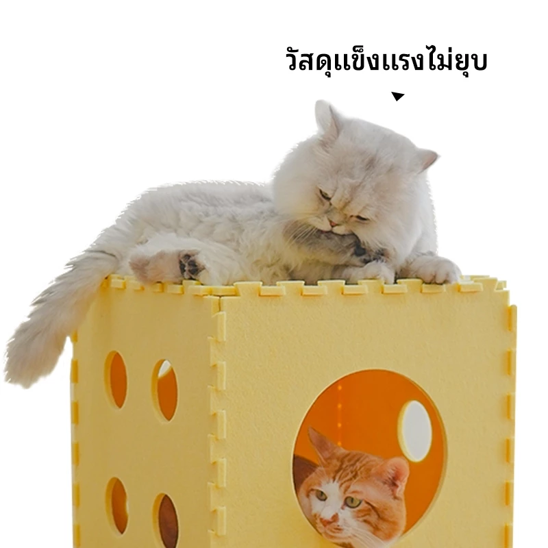 DIY กล่องแมว บ้านแมว ที่นอนสัตว์เลี้ยง ที่ลับเล็บแมว thumbnail 4