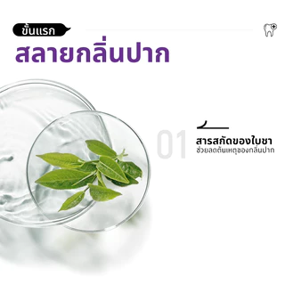 OTOOTH BREATH SPRAY FRESH GRAP ลมหายใจหอมสดชื่น พกพาง่าย OS03-a3