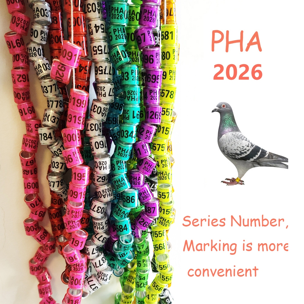 50 ชิ้น 2026 นกพิราบแหวนเท้า PHA แหวนเท้าดิจิตอล 8 มม.นกแก้วขาแหวนนกเครื่องมือการฝึกอบรม