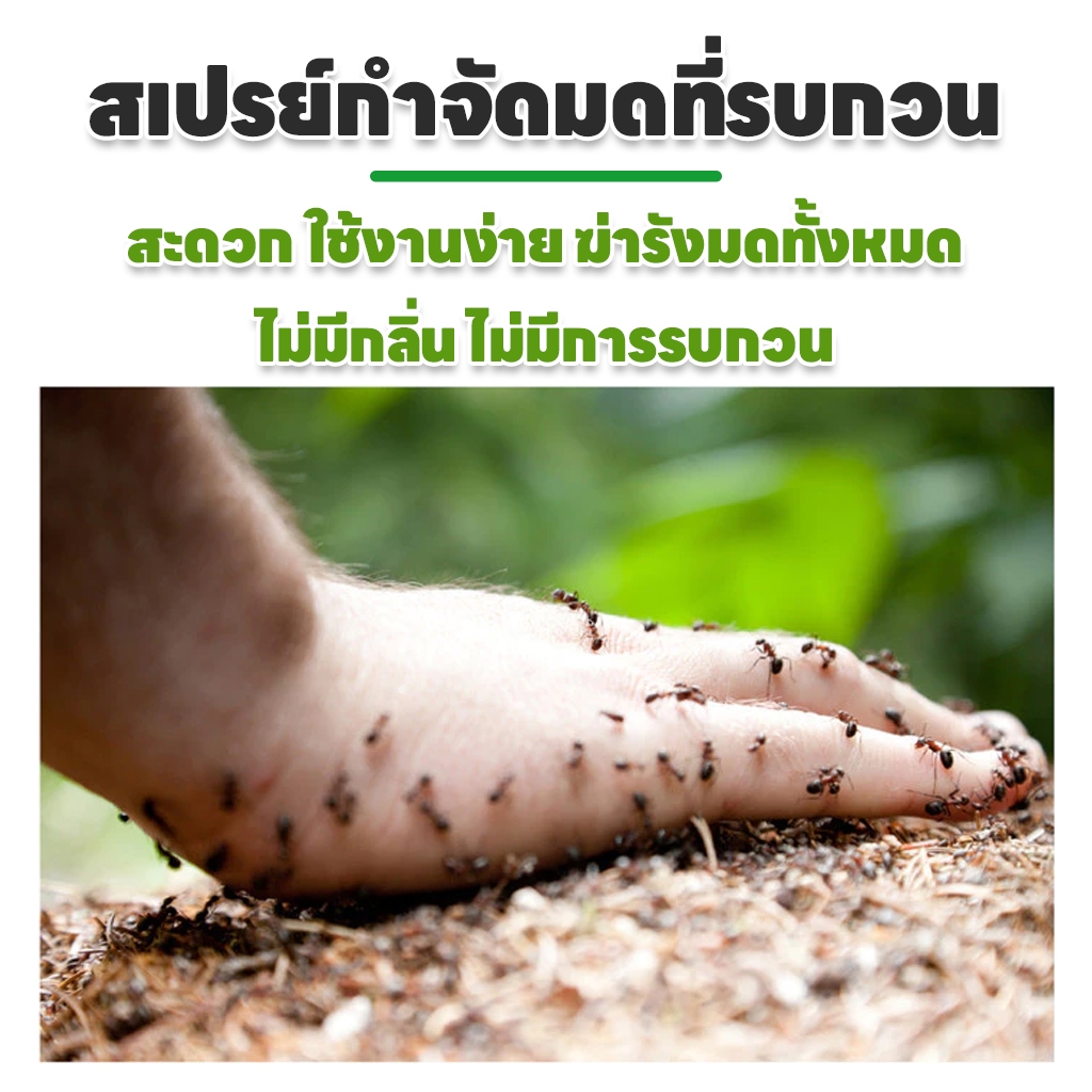 ✨สูตรใหม่✨ Leno ยาฉีดมด ยามด ที่กําจัดมด เจาะลึกถึงรังมด แก้ปัญหามดตั้งแต่ต้นทาง ฉีดมด มด - รูปที่ 2