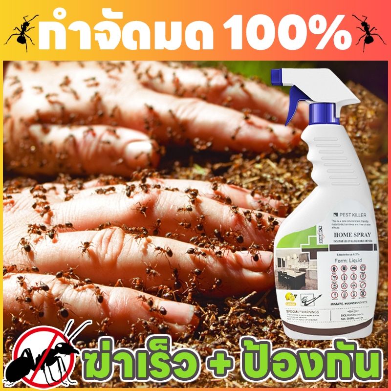 ✨สูตรใหม่✨ Leno ยาฉีดมด ยามด ที่กําจัดมด เจาะลึกถึงรังมด แก้ปัญหามดตั้งแต่ต้นทาง ฉีดมด มด