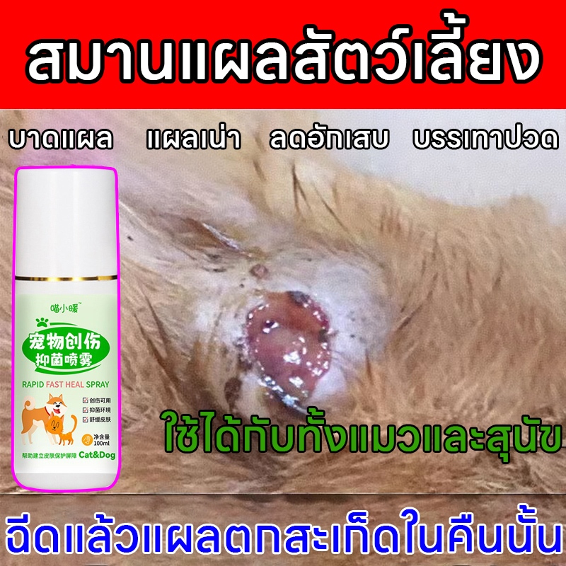 การพ่นครั้งเดียว แผลของสัตว์เลี้ยงหายเร็ว Feh สเปรย์พ่นแผล สเปรย์นาโน แผลแห้งไว สมานแผลไว ฆ่าเชื้อแบคทีเรีย สำหรับสุนัข แมว และสัตว์เลี้ยงทุกชนิด