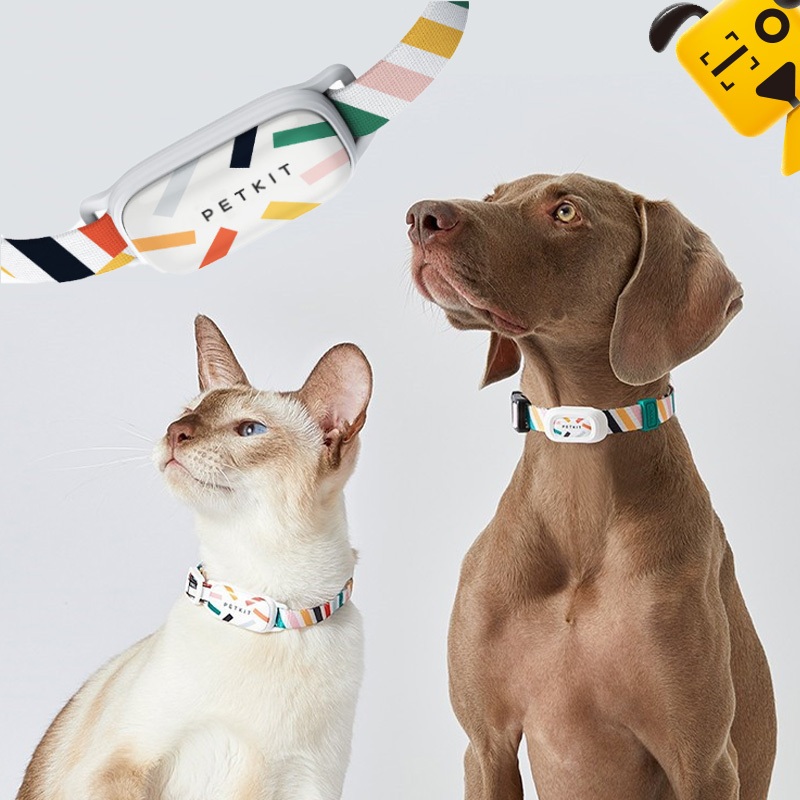 ปลอกคอสำหรับสัตว์เลี้ยง Smart Pet Activity Monitor ปลอกคออัจฉริยะ​สำหรับ​สัตว์​เลี้ยง​เชื่อมต่อแอพได