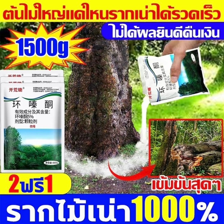 💥โรยโดยตรง ไม่ต้องเติมน้ำ💥ยาฆ่ากอไผ่ เน่าเสียถึงราก ยาฆ่าต้นไม้ ไม่ทำลายดิน ยาฆ่าตอไม้ ยาฆ่าไผ่ ยาฆ่าไม้ไผ่ ยาฆ่าหญ้า