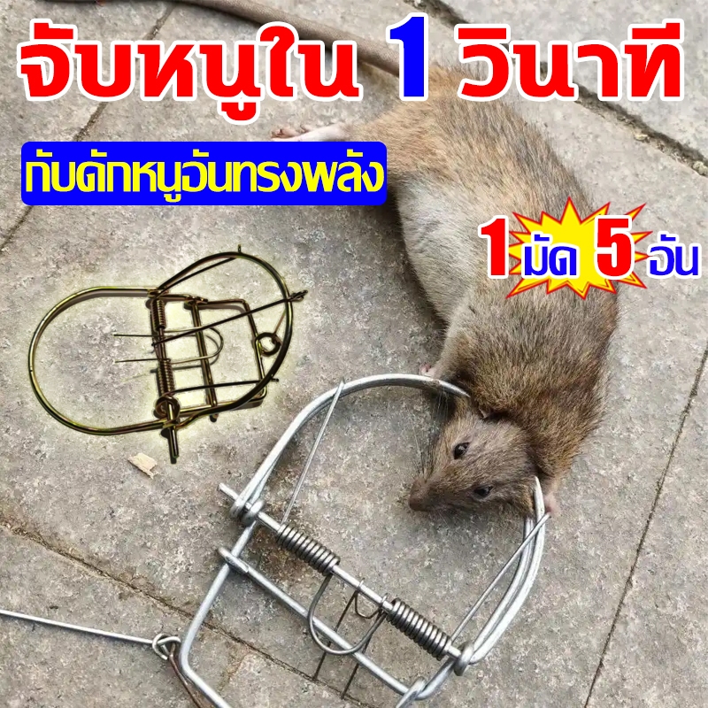 โมดีฟาย กับดักหนู ที่ดักหนู ดีดแรง ดีดแม่น 1 มัด 5 อัน กับวงเดือน ที่เสียบเหยือโมดีฟาย