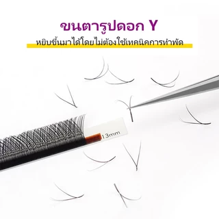 Genielash YY ขนตาปลอม 12 แถว 0.07 C/D/D+ แบบมืออาชีพ