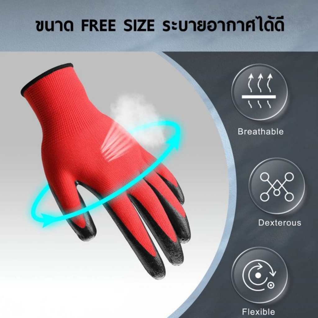 รูปภาพ 4