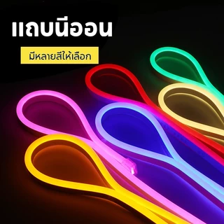 2835 220V หลอดไฟ LED นีออนสีกันน้ำ ไฟงานวัด หลอดไฟสี ตกแต่ง กันน้ำตัดง่าย กับปลั๊ก