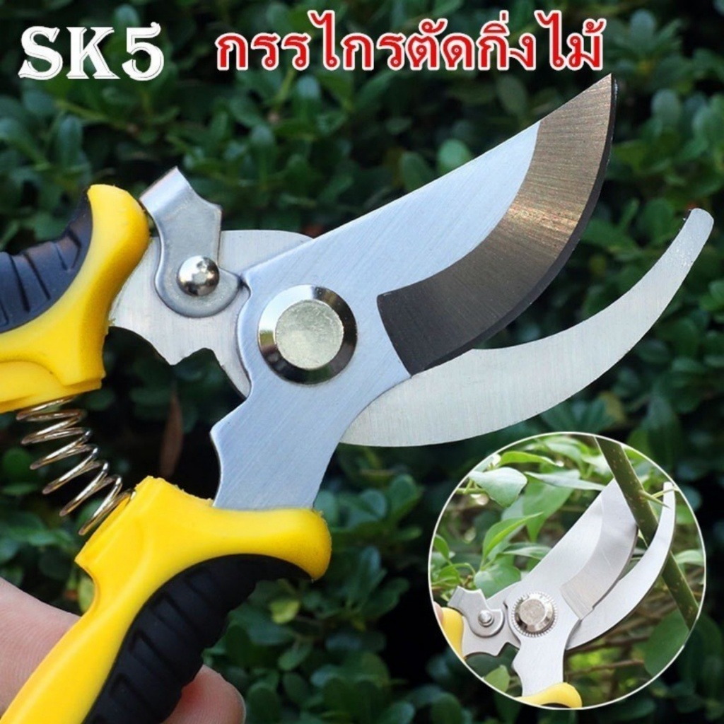 ✄COD✄ SK5 กรรไกรแต่งกิ่ง กรรไกรสแตนเลส กรรไกรสำหรับตัดแต่งกิ่งไม้ ดอกไม้ เครื่องมือจัดทำสวน