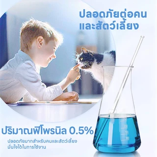 💥เหยื่อแมลงสาบ💥ยาฆ่าแมลงสาบ กำจัดแมลงสาบ ยากำจัดแมลงสาบ ควบคุมแมลงสาบจากต้นตอ ตามพฤติกรรมการหาอาหาร