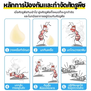 ❌ควบคุมมดได้อย่างแม่นยำ❌ OA ยาฆ่ามด กำจัดมด ยากำจัดมด สูตรเจล ช่วยลดปัญหามดได้อย่างมีประสิทธิภาพ